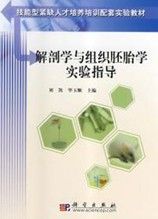 《解剖學與組織胚胎學實驗指導》 《解剖學與組織胚胎學實驗指導》