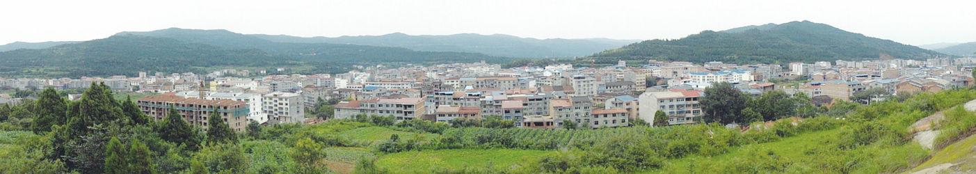 白龍鎮城區全景（2013年）