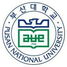 釜山 大學 釜山 大學