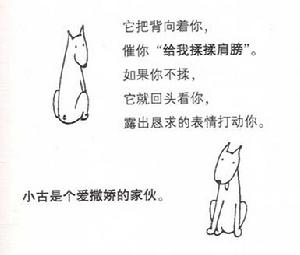 《笨狗小古》