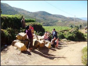 紅星三丘田村 紅星三丘田村