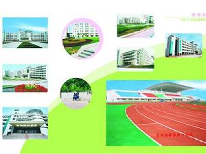 新泰市第一中學