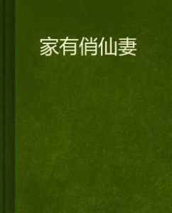 家有俏仙妻 家有俏仙妻