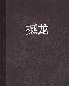撼龍[月河er小說]