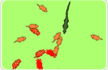 千貓進化戰 千貓進化戰