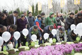 百姓公祭日 百姓公祭日