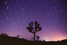 加州出現的英仙座流星