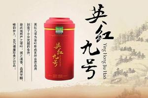 英紅九號 英紅九號