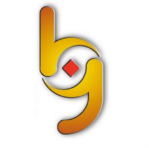 洛陽伯倫電子商務有限公司