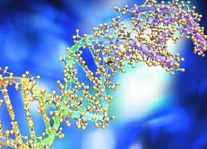 表觀遺傳現象 表觀遺傳現象