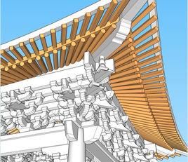 鷹嘴駝峰 鷹嘴駝峰