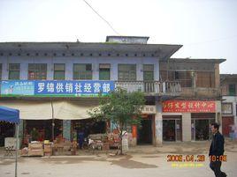 崇山村[湖北省武穴市大法寺鎮崇山村]