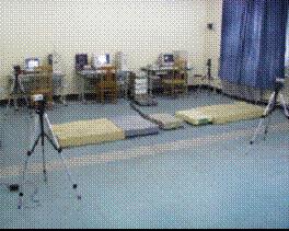 步態分析系統 步態分析系統