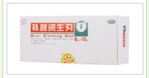補益資生丸 補益資生丸