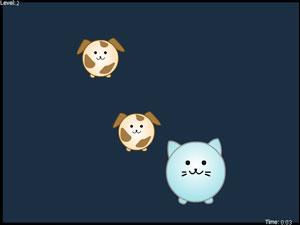 小貓咪快長大 小貓咪快長大