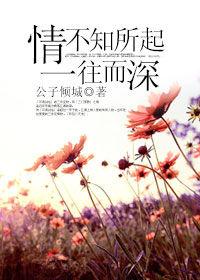 情不知所起，一往而深[晉江文學城小說]