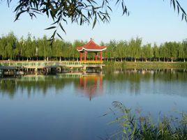 二九一農場 二九一農場