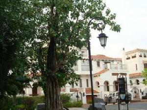 深圳華僑城小區 深圳華僑城小區