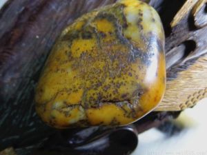 黃玉籽料 黃玉籽料