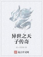 異世之天子傳奇 異世之天子傳奇