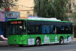 吉林公交56路 吉林公交56路