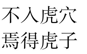 不入虎穴 不入虎穴
