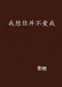我想你並不愛我 我想你並不愛我