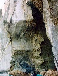 道士冠島 道士冠島