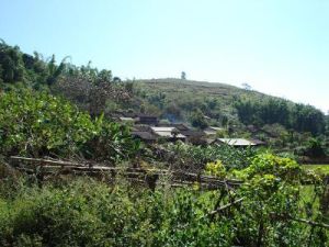 勐準自然村 勐準自然村