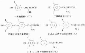 甲狀腺粉 甲狀腺粉