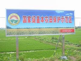 基本農田保護 基本農田保護