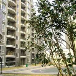 七星綠色花園 七星綠色花園