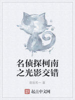 名偵探柯南之光影交錯 名偵探柯南之光影交錯