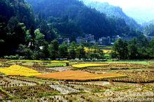 太原[重慶市彭水縣下轄鎮]