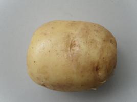 巫溪洋芋 巫溪洋芋