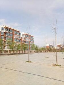 張莊鎮[山東省濟寧市鄒城市張莊鎮]