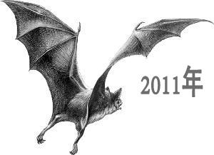 國際蝙蝠年 國際蝙蝠年