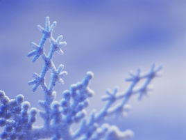 《天使之吻》 《天使之吻》