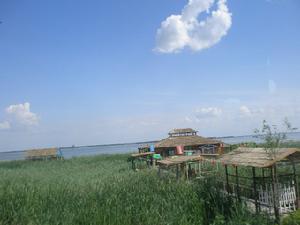 查乾湖國家級自然保護區