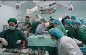 器官捐獻用於醫療救助