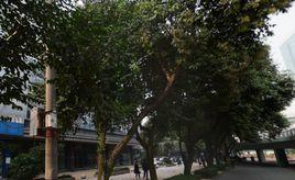 猛追灣街道 猛追灣街道