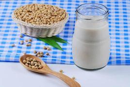 豆類蛋白飲料 豆類蛋白飲料