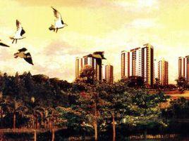 景寓學府 景寓學府