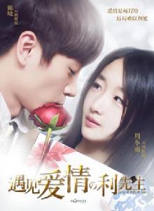 遇見愛情的利先生[2017年陳曉、周冬雨主演電視劇]