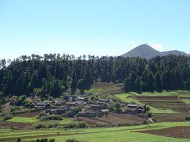 忠義六村 忠義六村