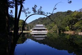 廣東從化陳禾洞省級自然保護區 廣東從化陳禾洞省級自然保護區