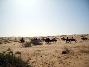 阿拉騰敖包鎮 阿拉騰敖包鎮