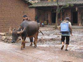 大戈息村 大戈息村