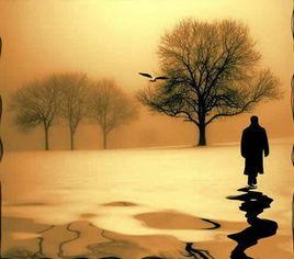 運交華蓋 運交華蓋