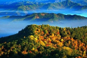 紅松林國家森林公園 紅松林國家森林公園